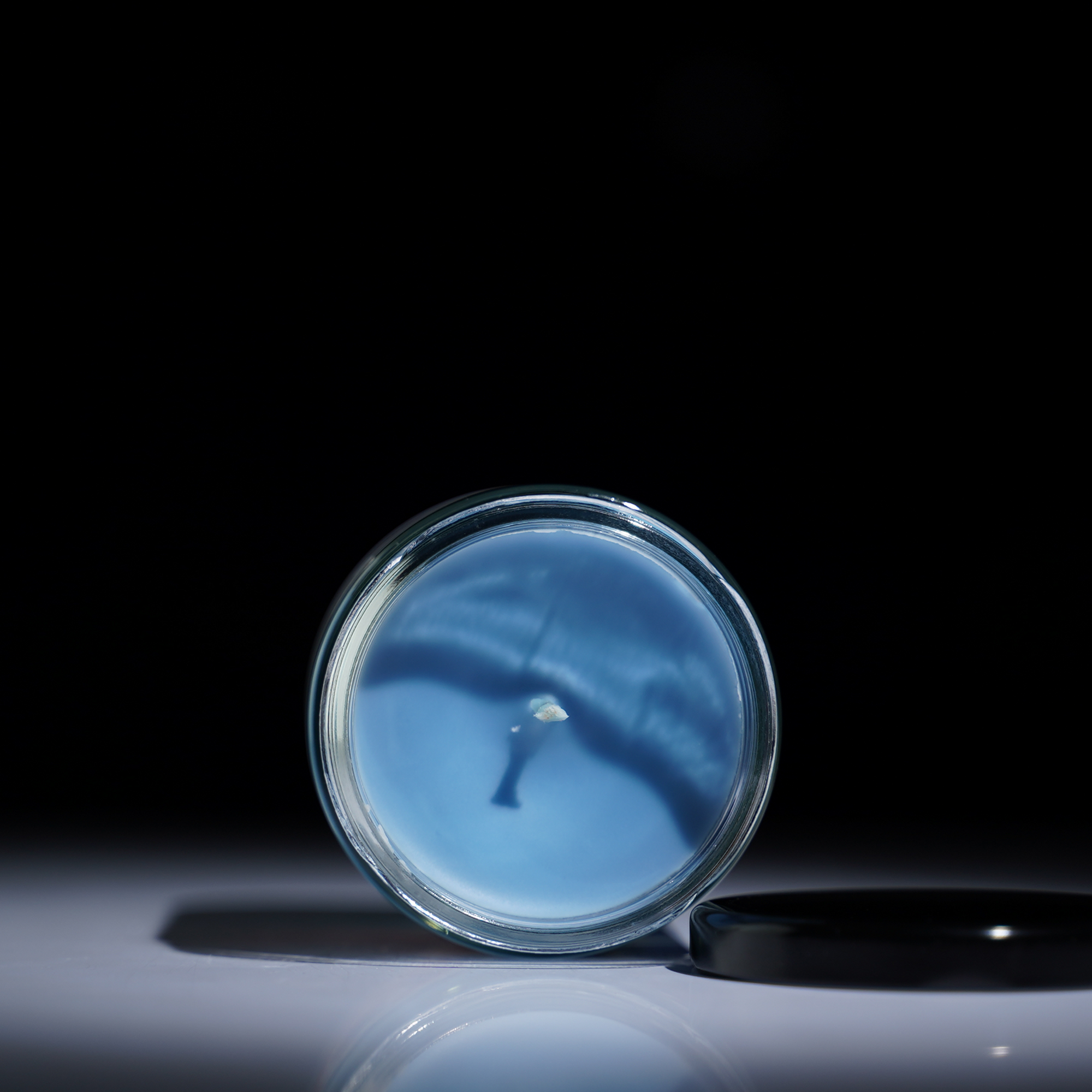 Aquatic Amber candle